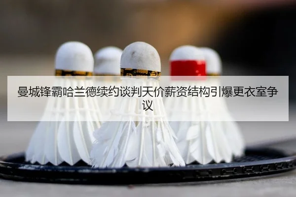 man-cheng-feng-ba-ha-lan-de-xu-yue-tan-pan-tian-jia-xin-zi-jie-gou-yin-bao-geng-yi-shi-zheng-yi-2-533.jpg